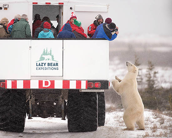 Niagara Thunder & Wild Arctic Wonders