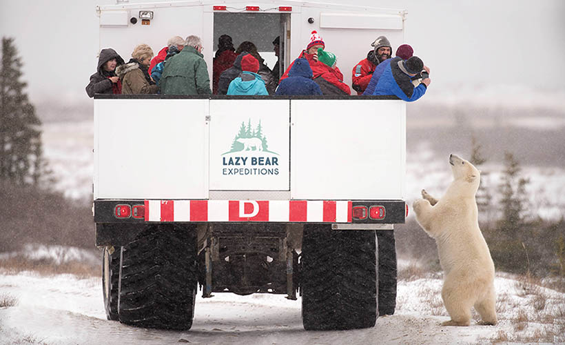 Niagara Thunder & Wild Arctic Wonders