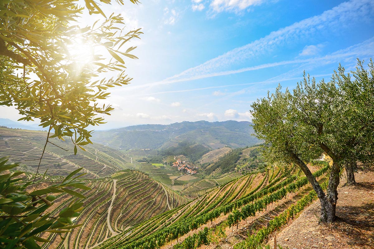 Douro Valley, Portugal