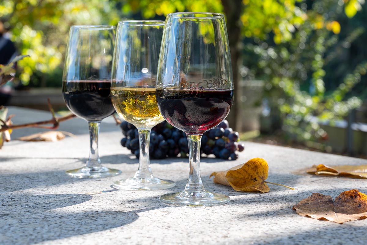 Wine Tasting in Portugal