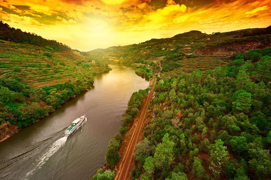 Douro Valley Wine Tasting and Boat Tour