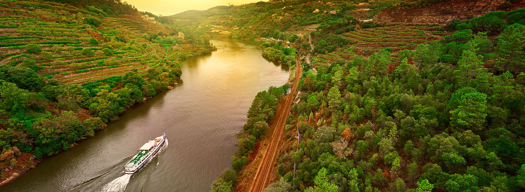 Douro Valley Wine Tasting and Boat Tour