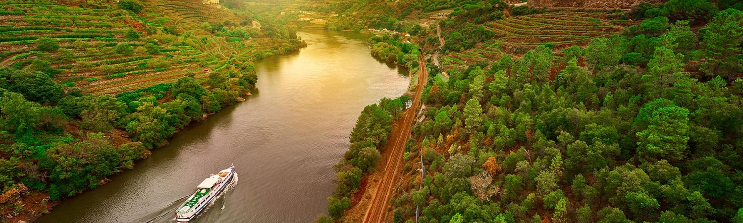 Douro Valley Wine Tasting and Boat Tour