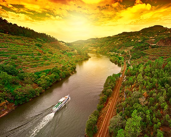 Douro Valley Wine Tasting and Boat Tour