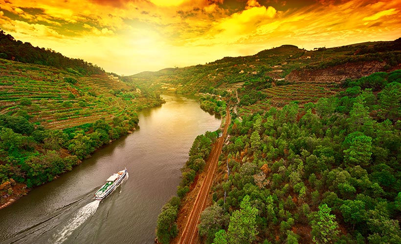 Douro Valley Wine Tasting and Boat Tour