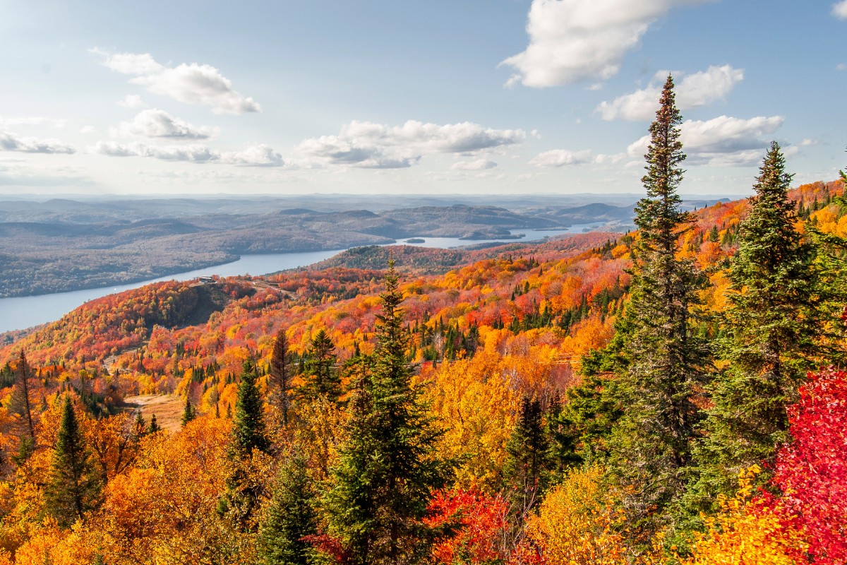 Quebec Fall Scenary