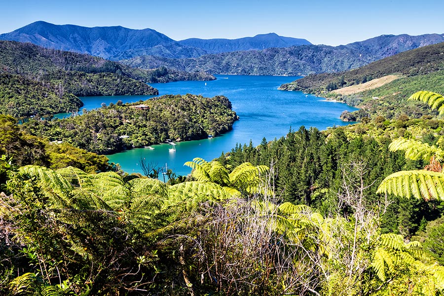 Queen Charlotte Sound