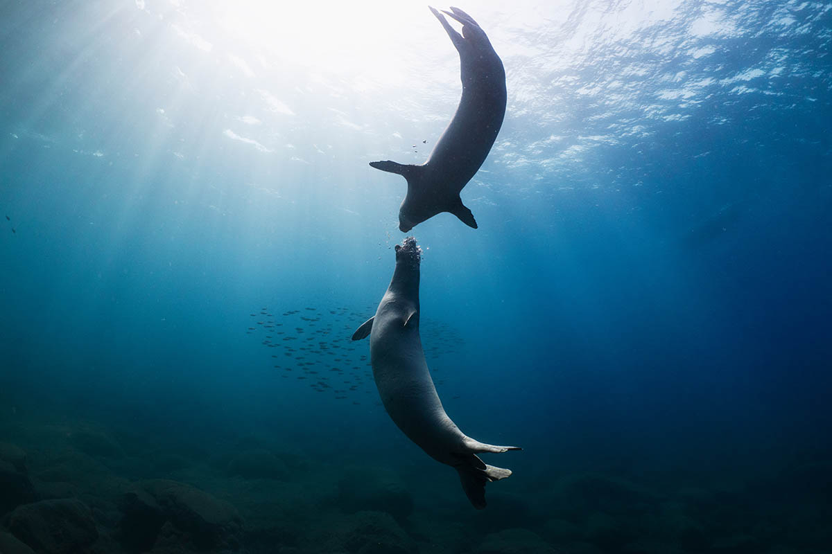Reid's Palace, A Belmond Hotel, Funchal