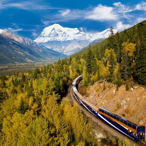 The Rocky Mountaineer train winds through golden autumn forest beneath the snow-capped peak of Mount Robson