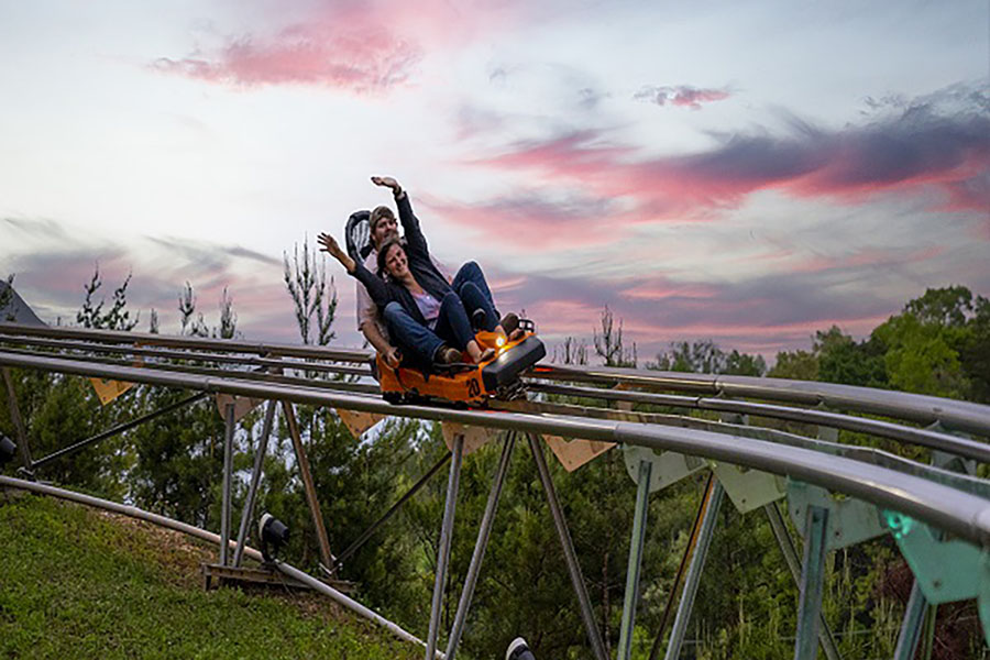 Rocky Top Mountain Coaster Admission