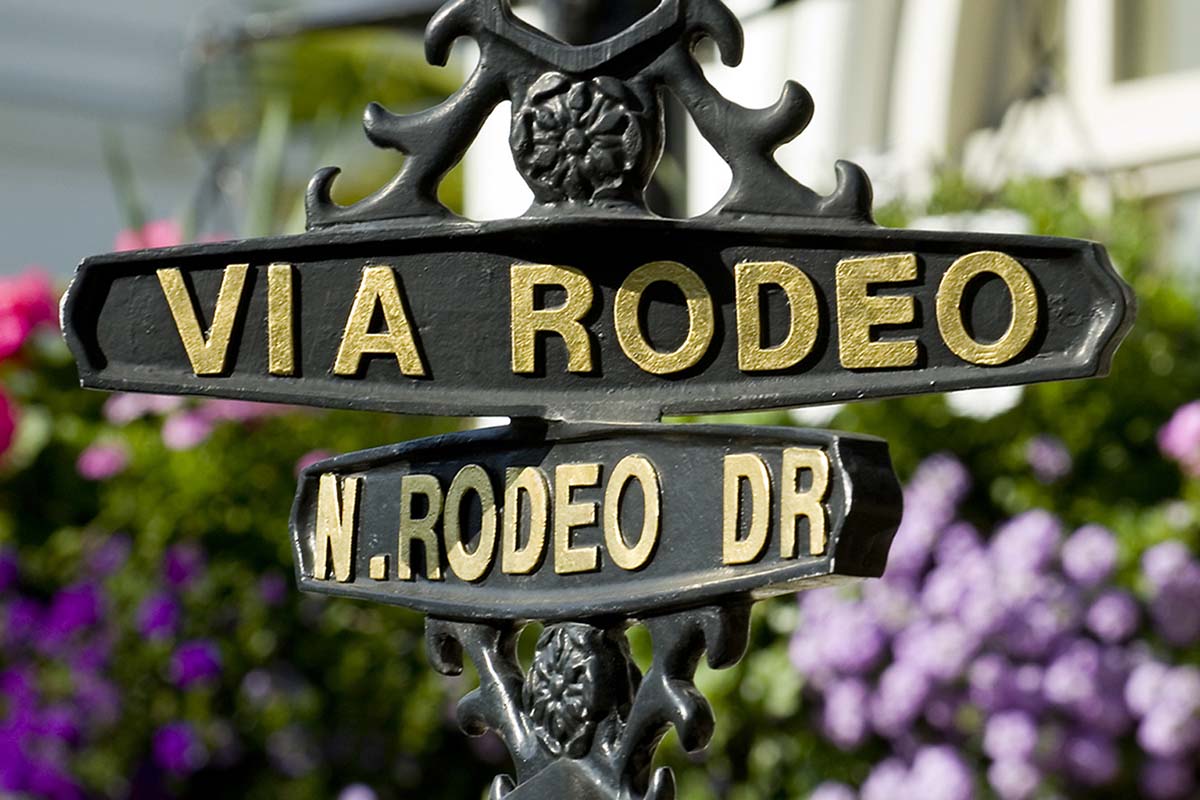 Hollywood by Night Tour