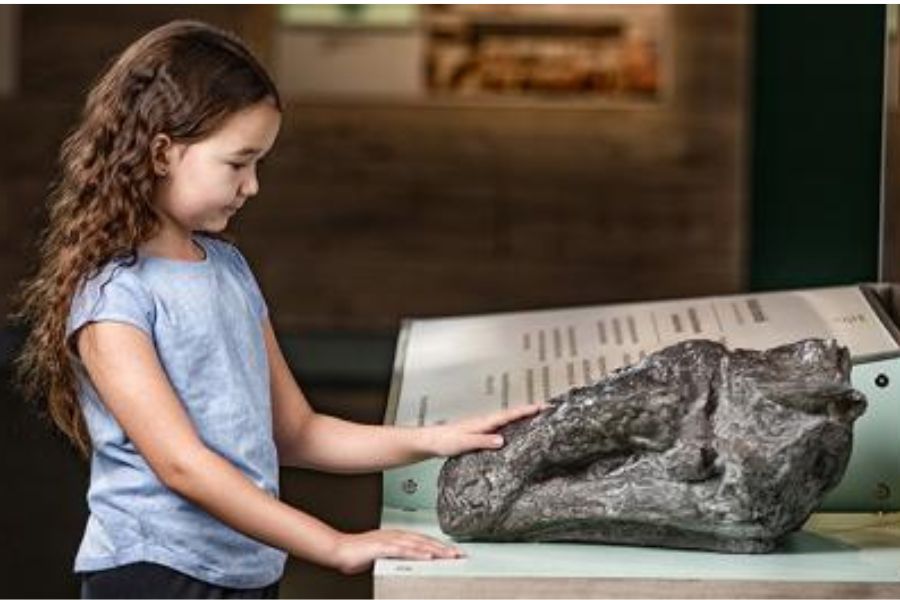 Royal Tyrrell Museum