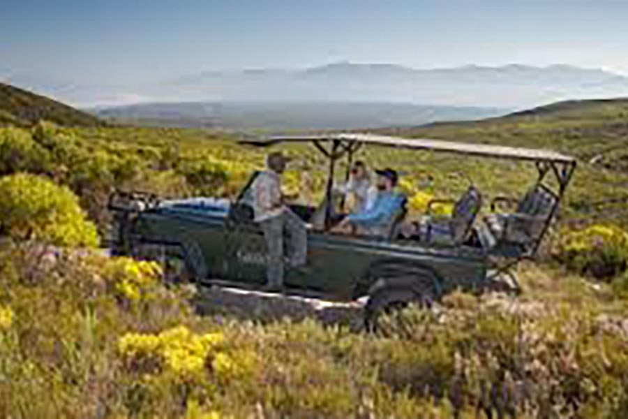 Grootbos Private Nature Reserve