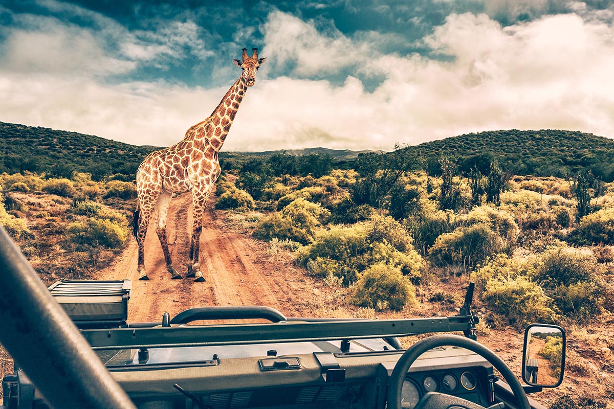 Hopewell Private Game Reserve