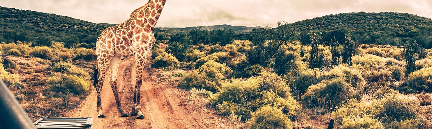 Hopewell Private Game Reserve