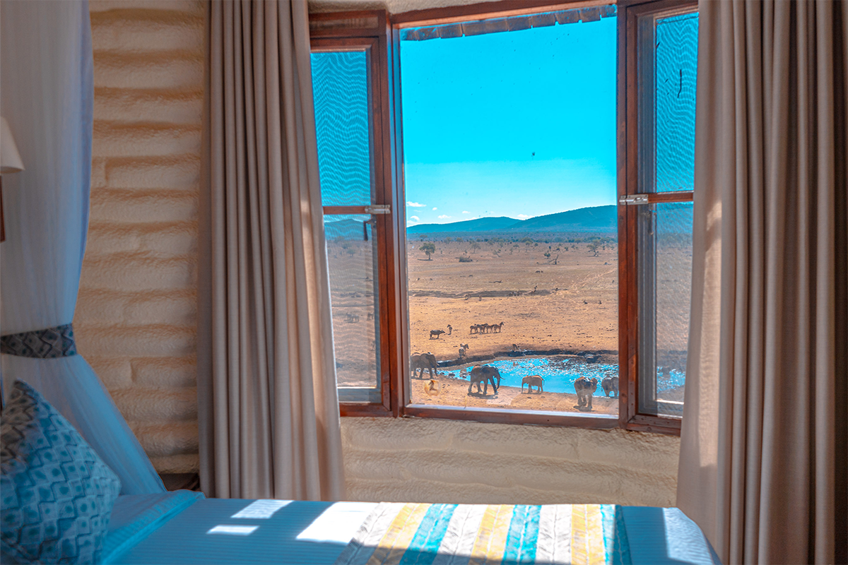 Salt Lick Safari Lodge