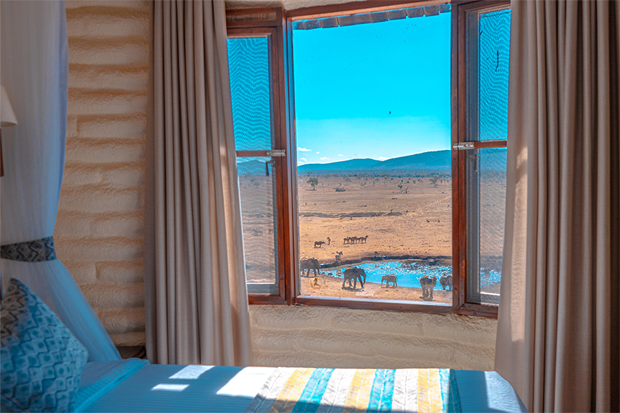 Salt Lick Safari Lodge