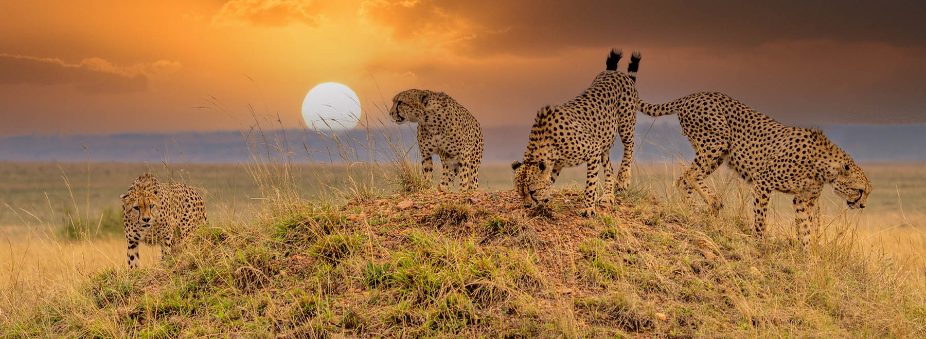 Sanbona Wildlife Reserve