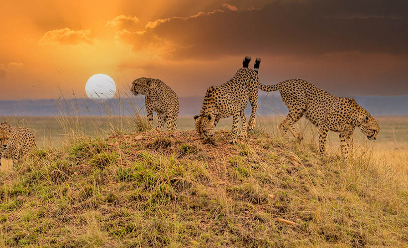 Sanbona Wildlife Reserve