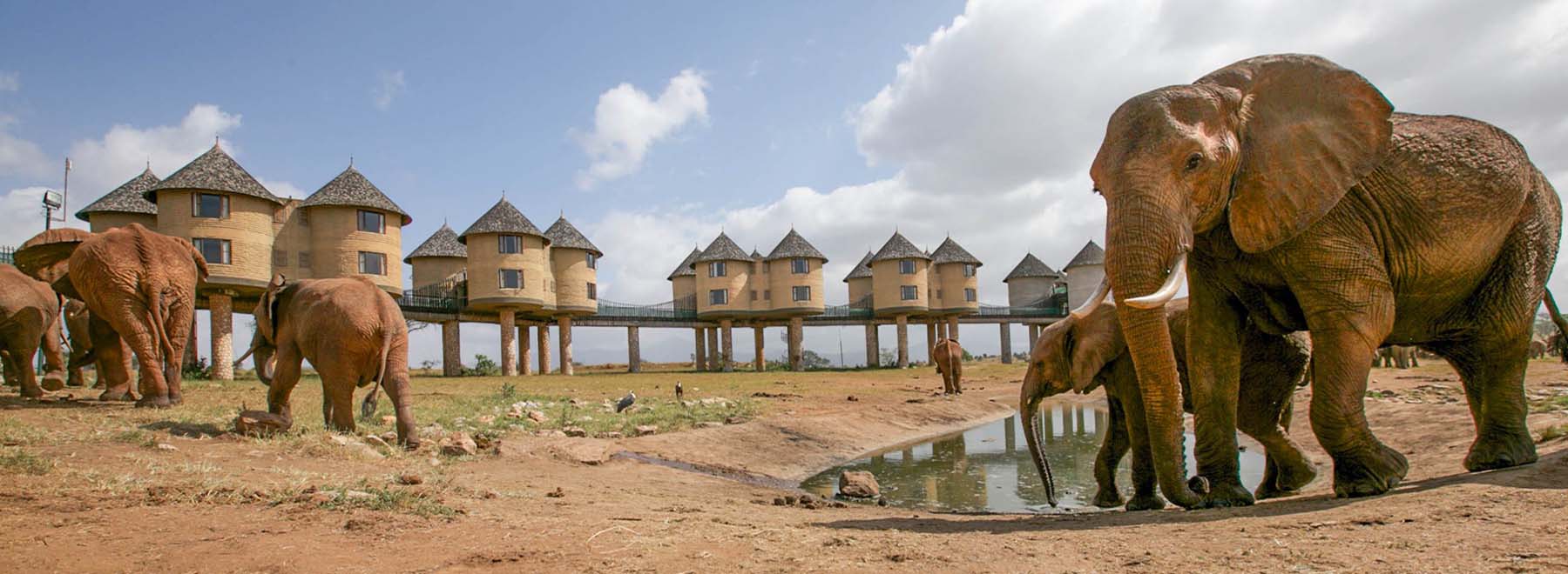 Salt Lick Safari Lodge