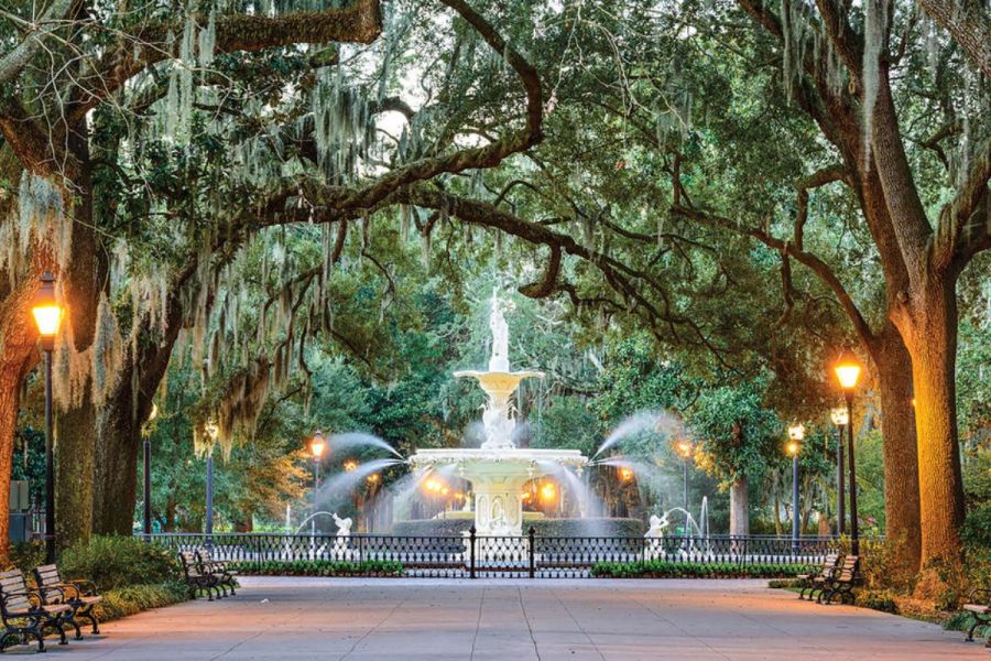 Savannah