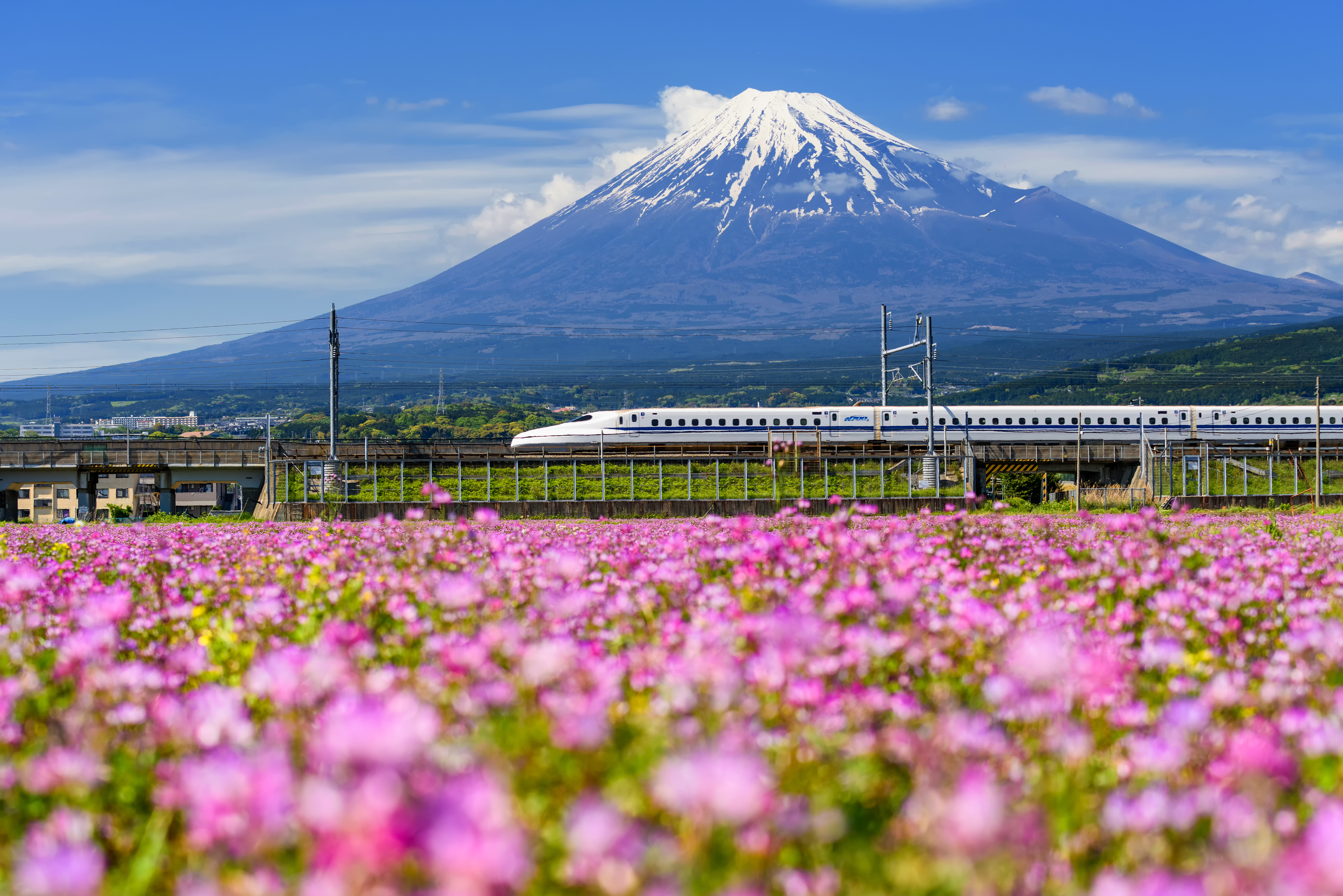 Japan shinkansen fuji
