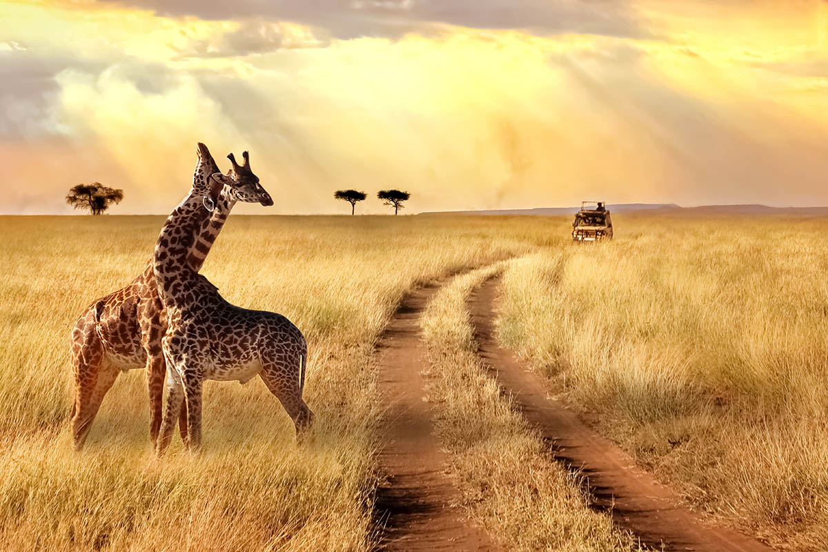 South Africa's Garden Route & Mauritius Beach Escape