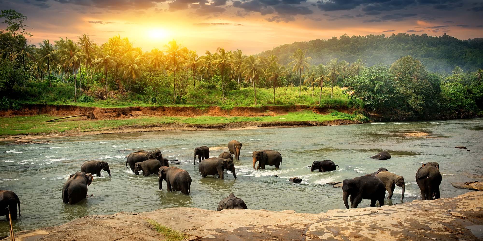 7 Must-See Attractions For Your Sri Lanka Holiday
