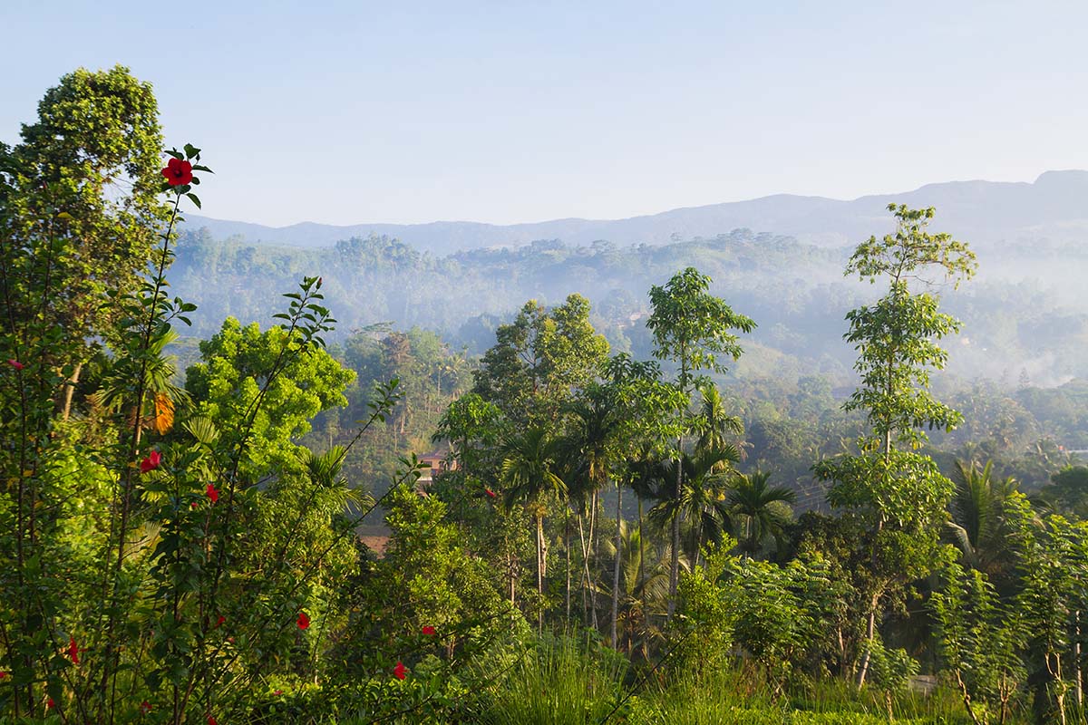 Sinharaja, Sri Lanka