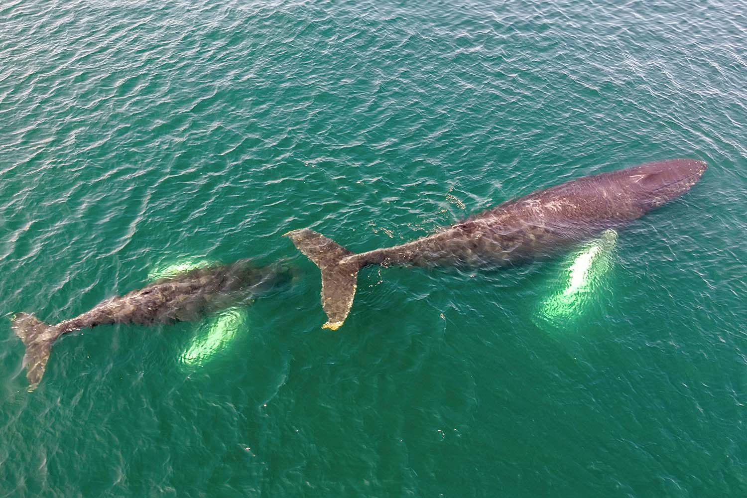 St John's City Break