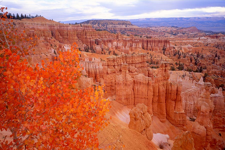Bryce Canyon National Park