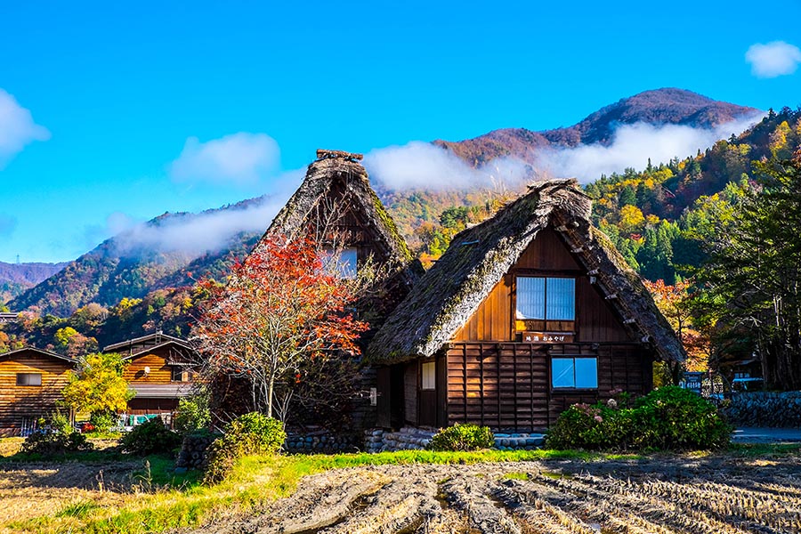 Shirakawago