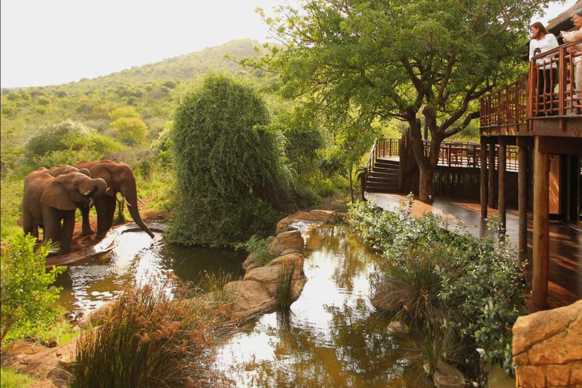 Thanda Safari Private Game Reserve