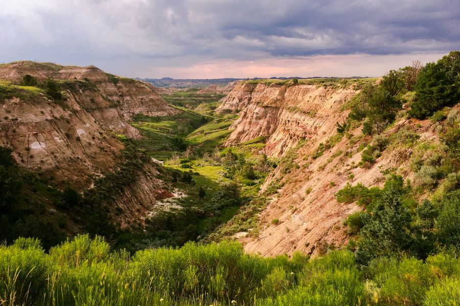 Theodore Roosevelt National Park