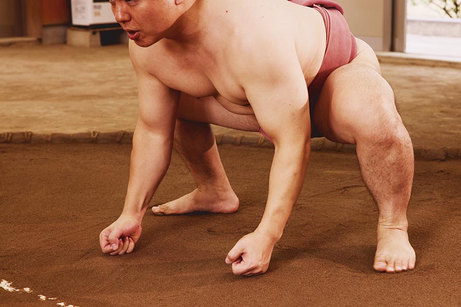 Sumo Morning Practice Viewing