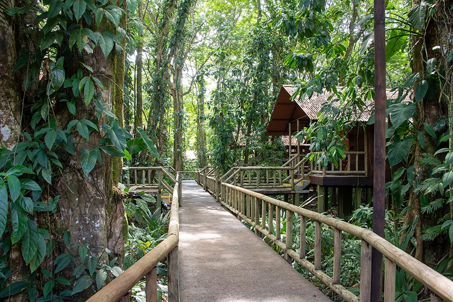 Eco Lodge in Tortuguero National Park