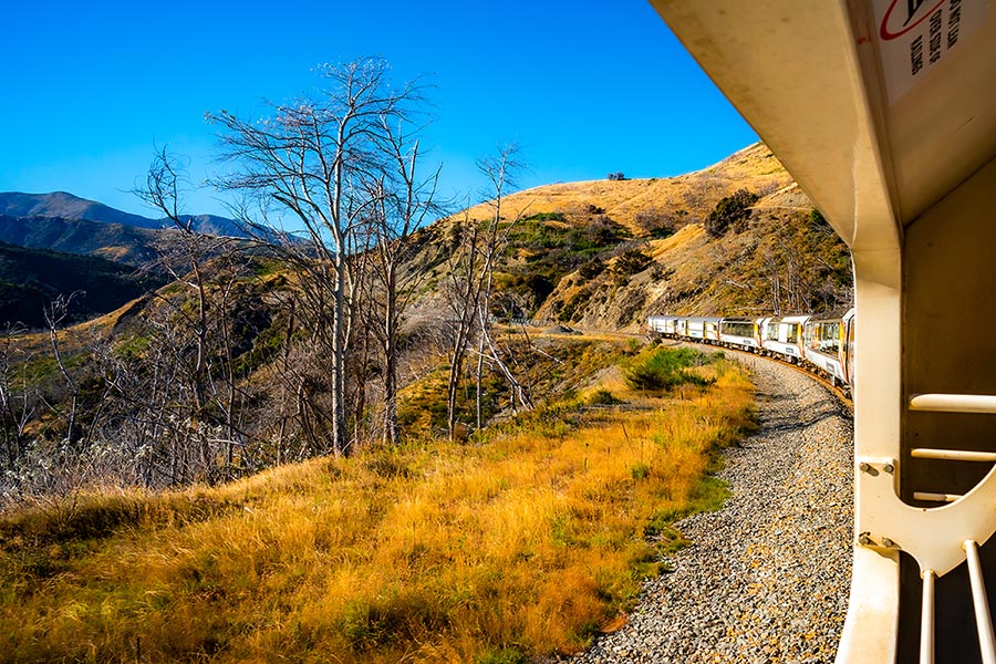 TranzAlpine Train