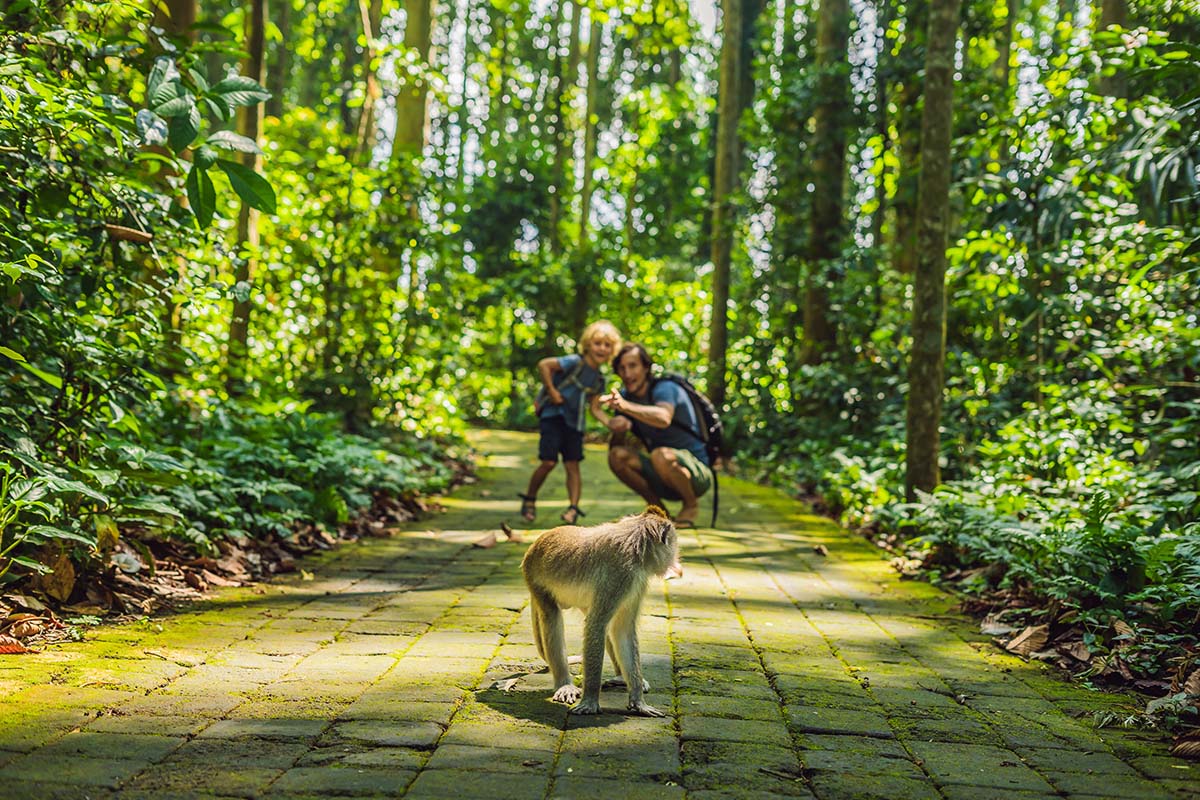 Monkey Forest & Ubud Jungle Swing Experience,  Bali