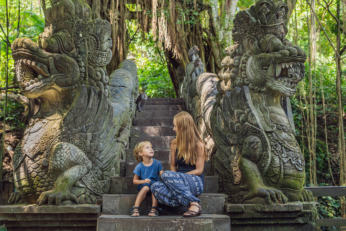 Monkey Forest, Waterfalls & Rice Terraces