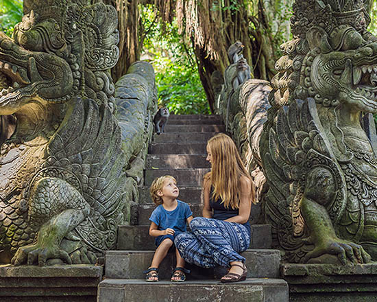Monkey Forest, Waterfalls & Rice Terraces