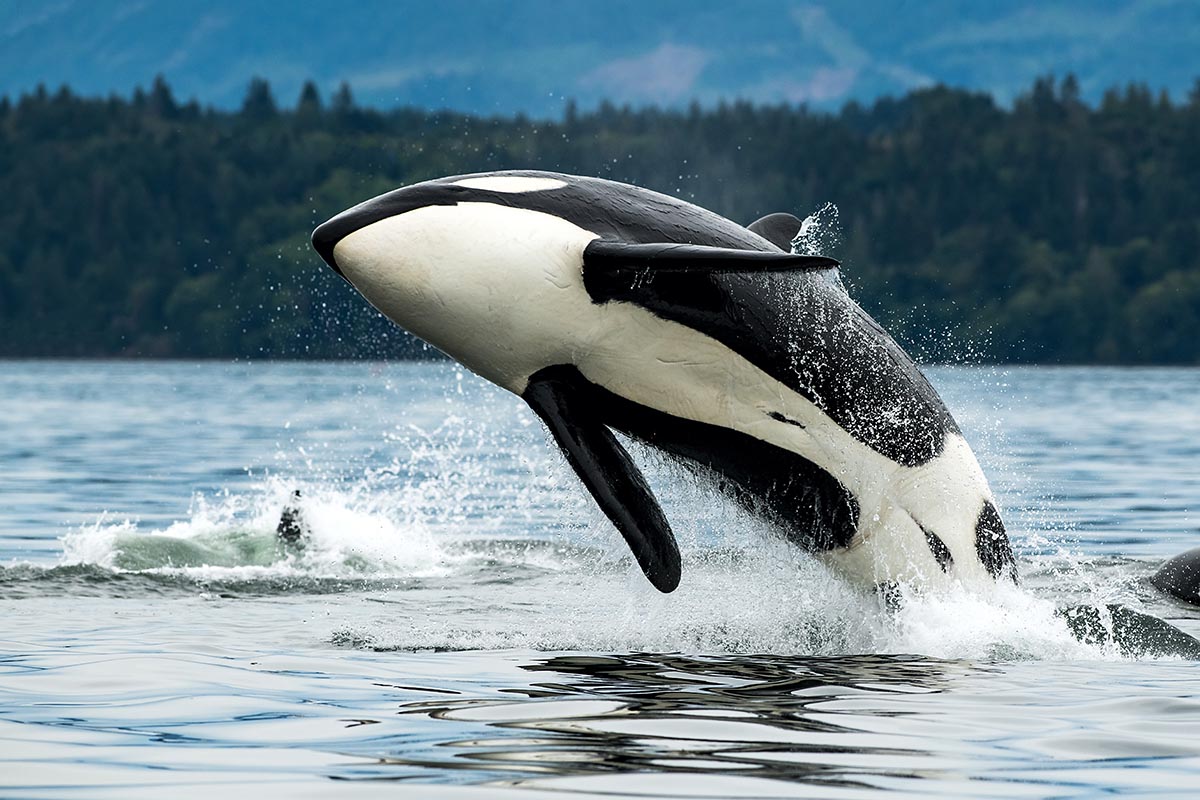 Vancouver, British Columbia