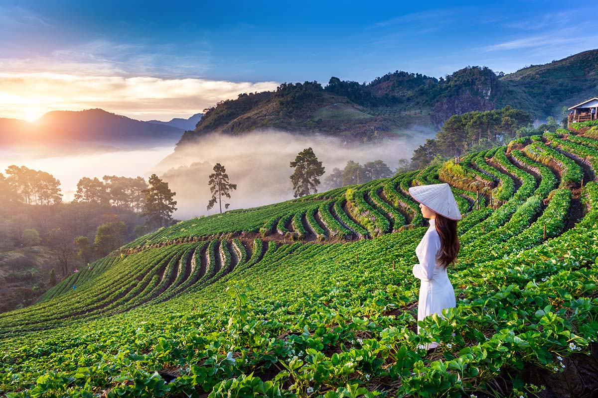 Vietnam