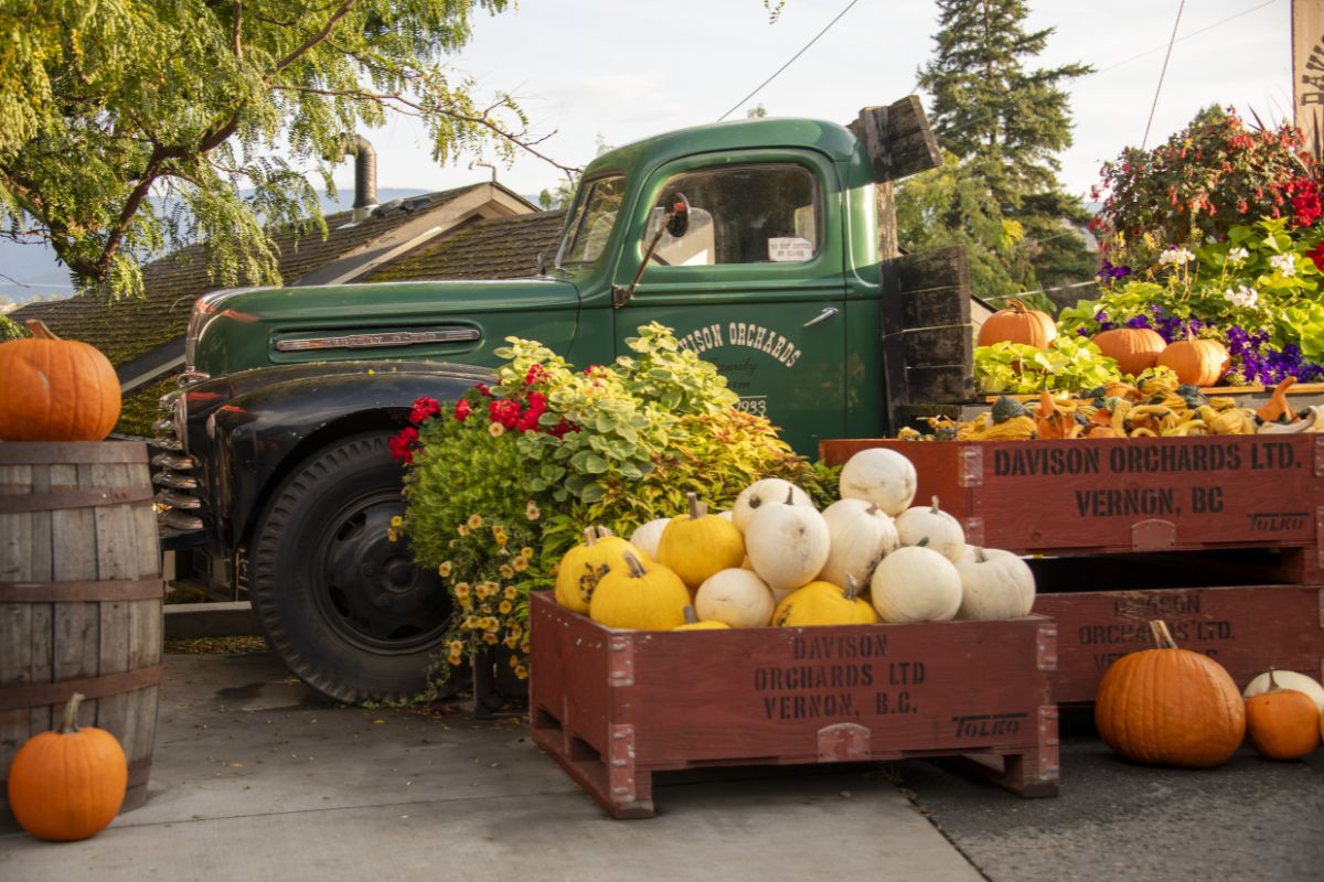 Vernon Farm
