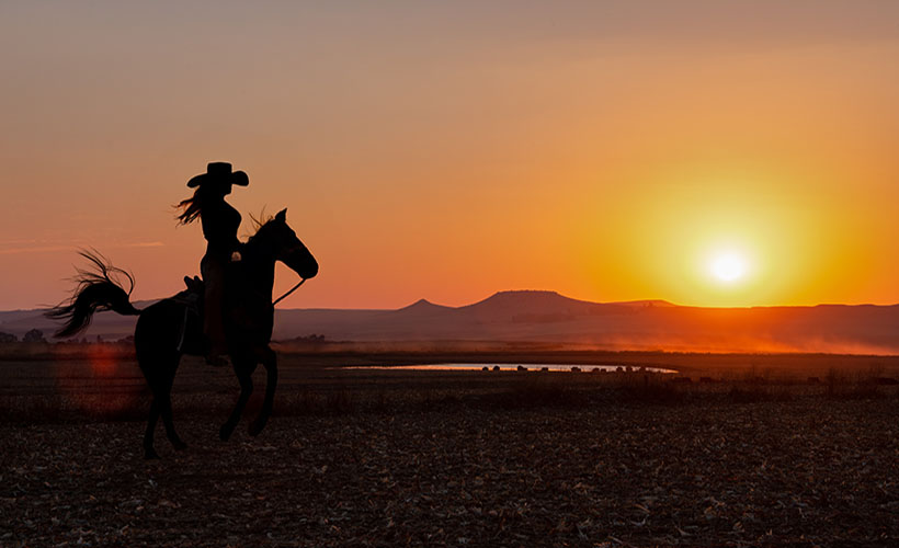 Trails of the Wild Frontier