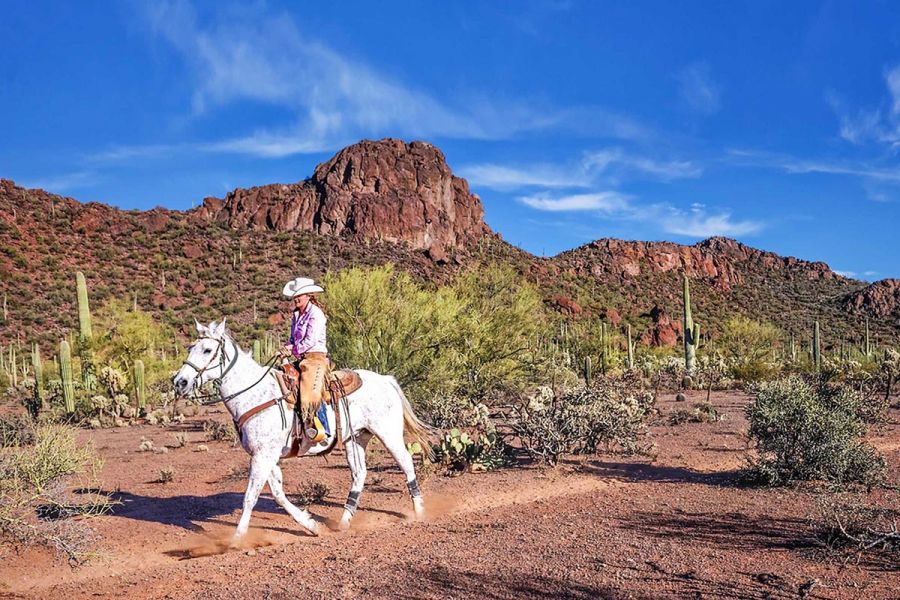 White Stallion Ranch