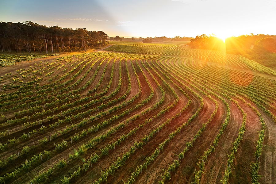 Witchcliffe, Margaret River