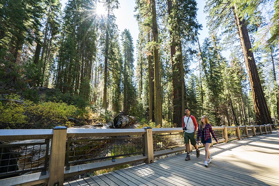 Yosemite National Park